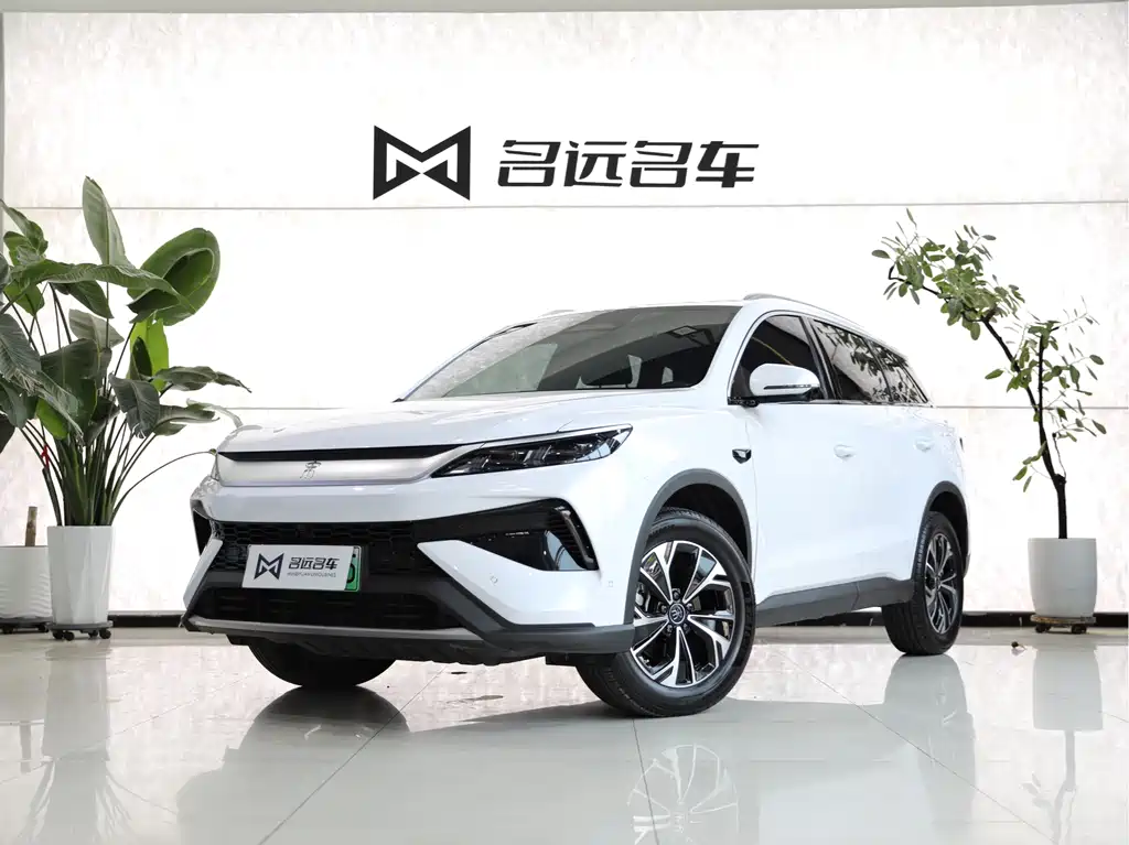 BYD Pro New Energy 2025 — фото 1
