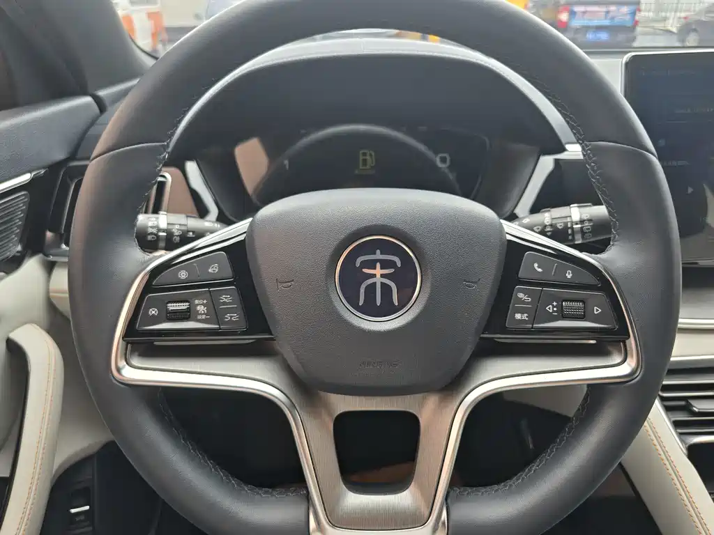BYD PLUS New Energy 2022 — фото 18