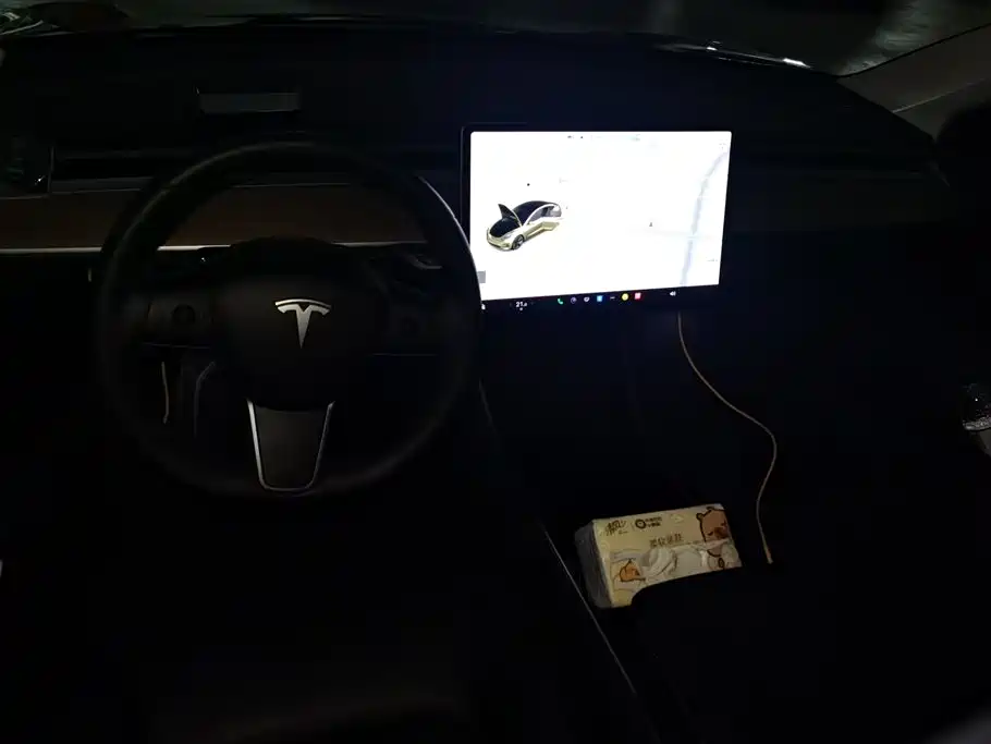 Tesla Model 3 2020 — фото 12