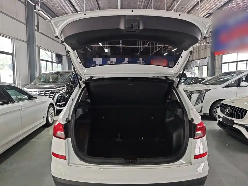 Skoda Kamiq 2024 — фото 19