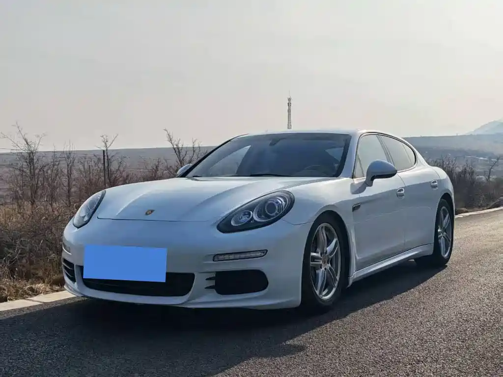 Porsche Panamera 2014 — фото 1