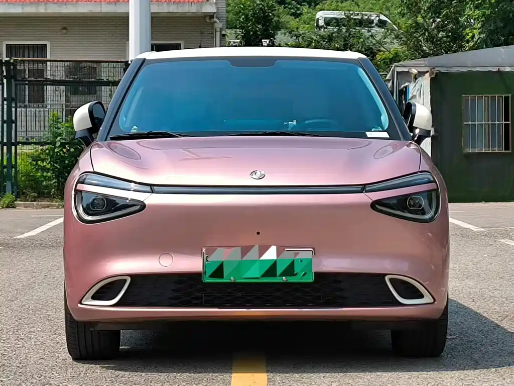 Dongfeng Nano 01 2025
