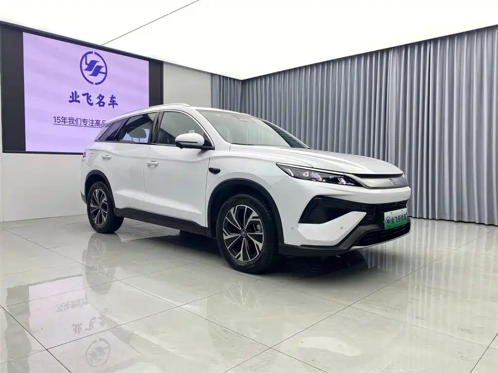 BYD Pro New Energy 2025 — фото 3