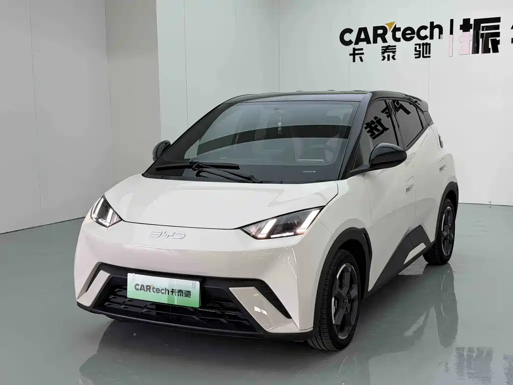 BYD Seagull 2024