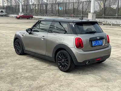 MINI MINI 2020
