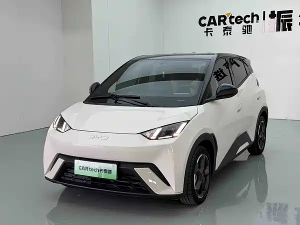 BYD Seagull 2024