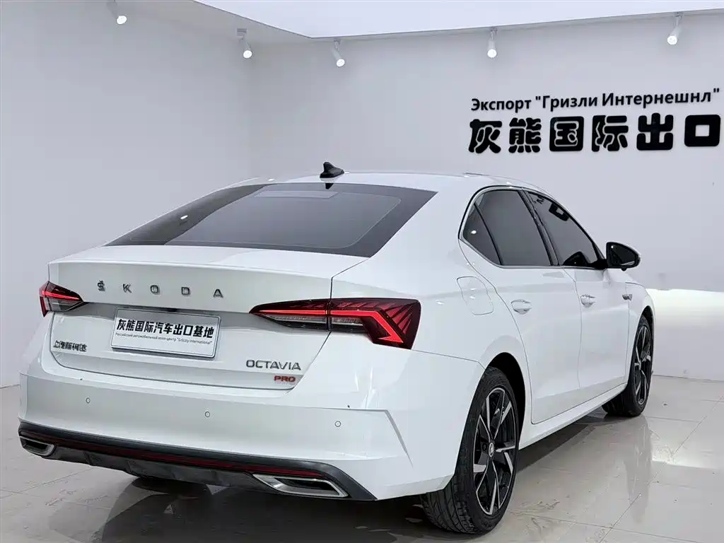 Skoda Octavia 2024 — фото 4
