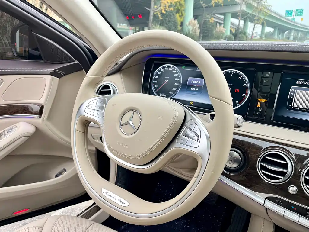 Mercedes-Benz S-Class 2017 — фото 12