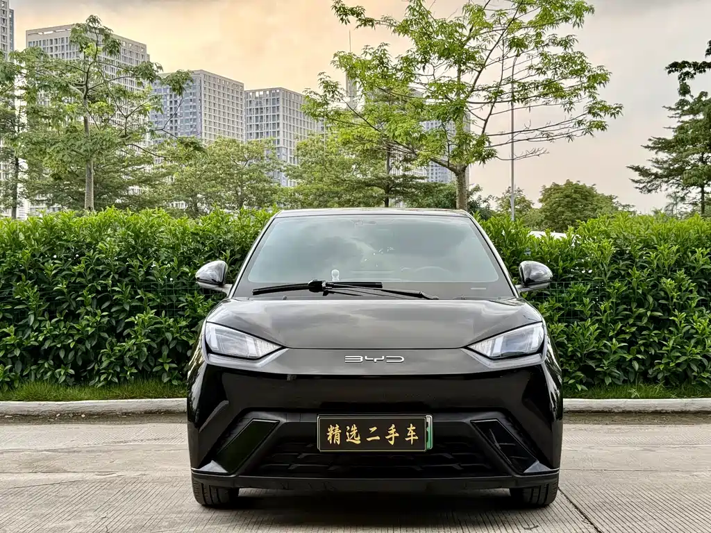 BYD Seagull 2024