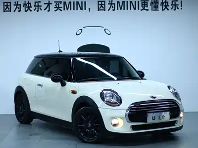 MINI MINI 2014