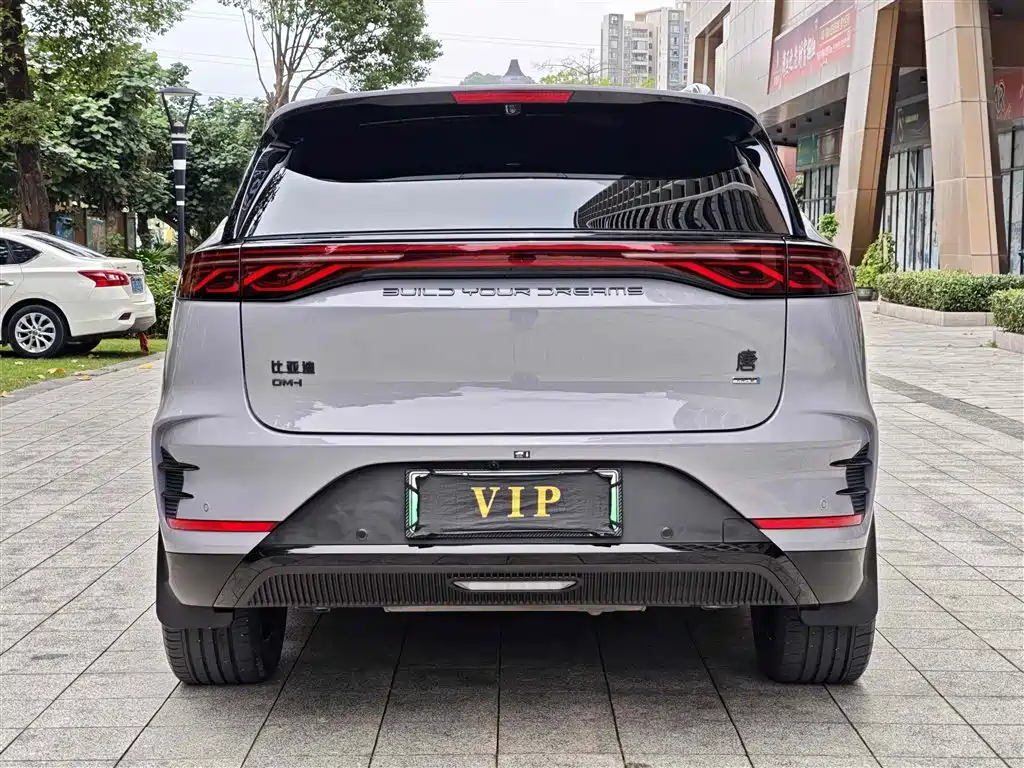 BYD Tang New Energy 2025 — фото 16