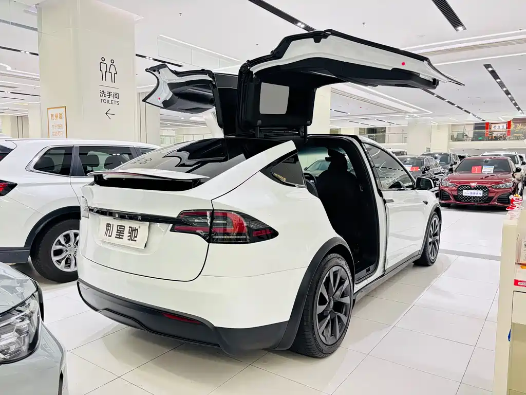 Tesla Model X 2023 — фото 4