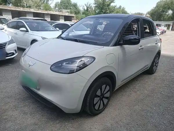 Wuling Bingo 2024