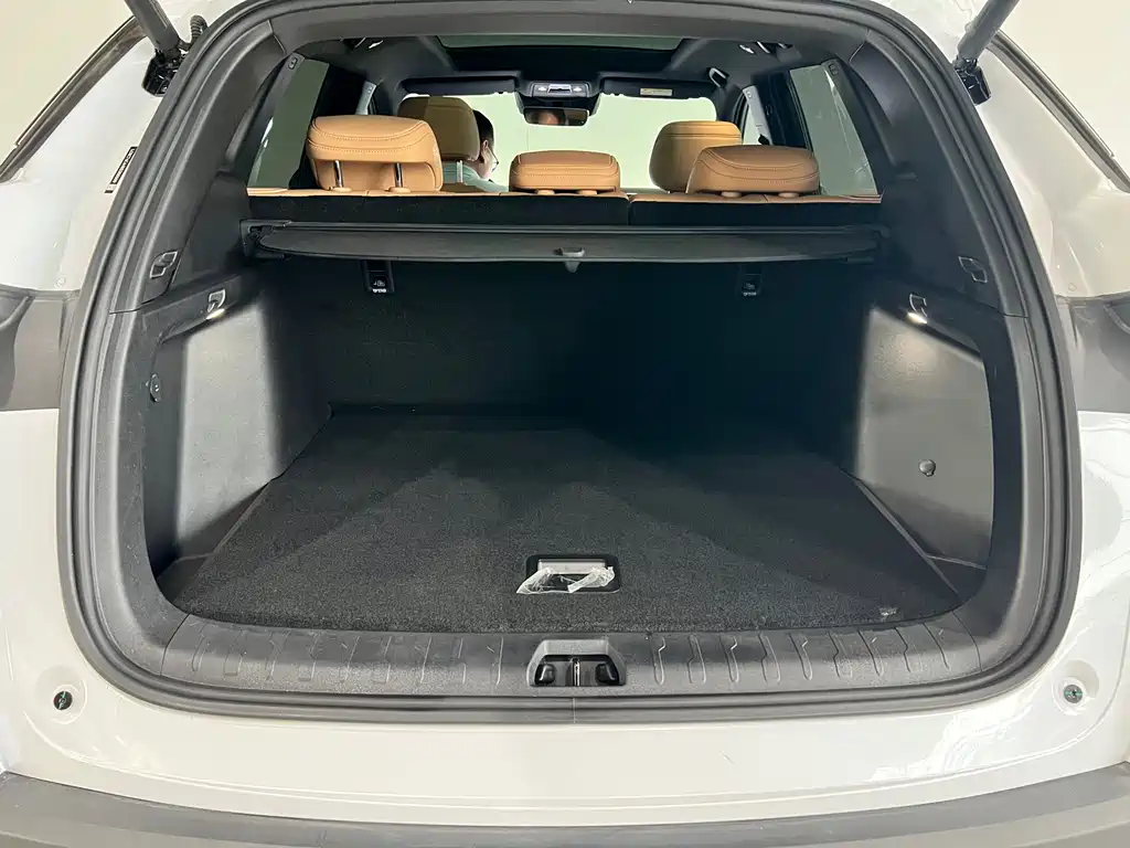 BYD L DM-i 2024 — фото 28