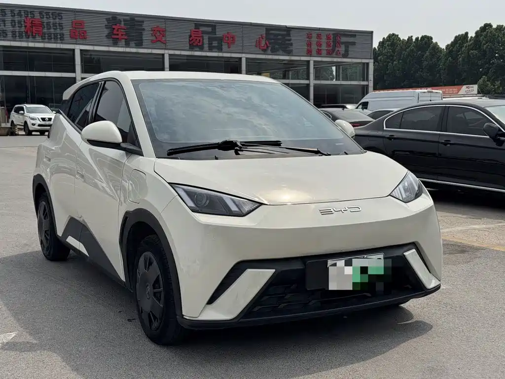 BYD Seagull 2024