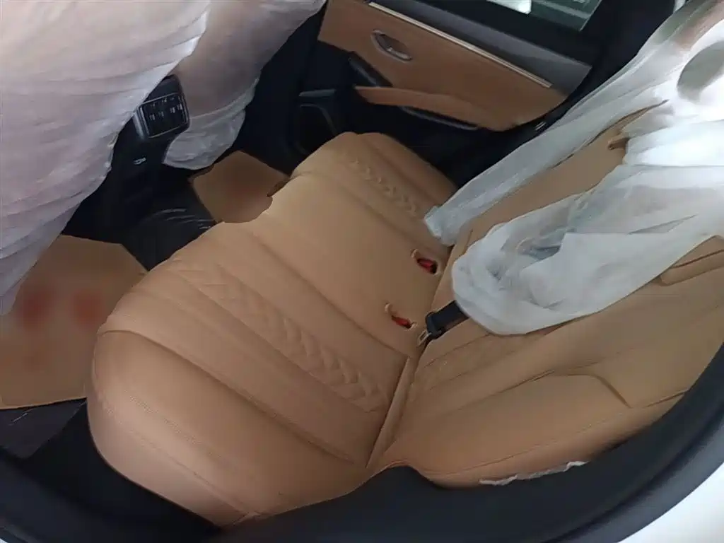 BYD L DM-i 2025 — фото 17