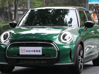 MINI MINI 2024