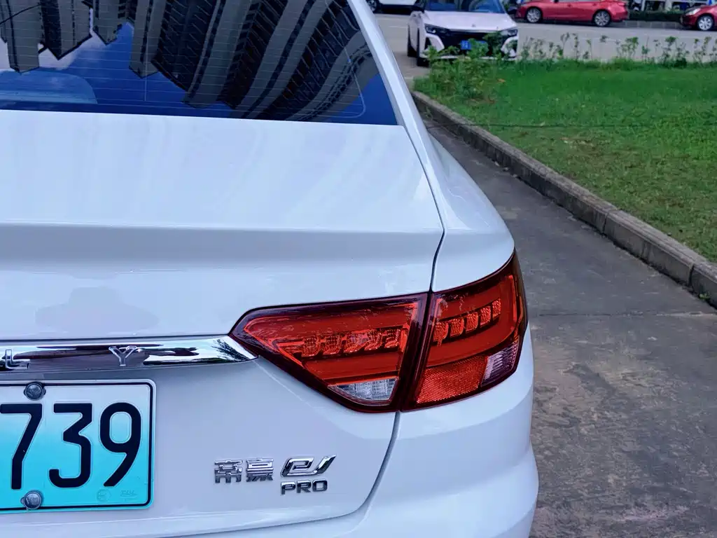 Geely New Energy 2021