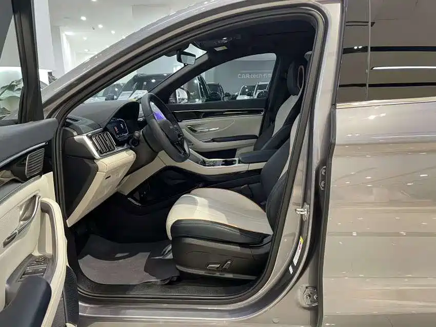 BYD PLUS New Energy 2024 — фото 20