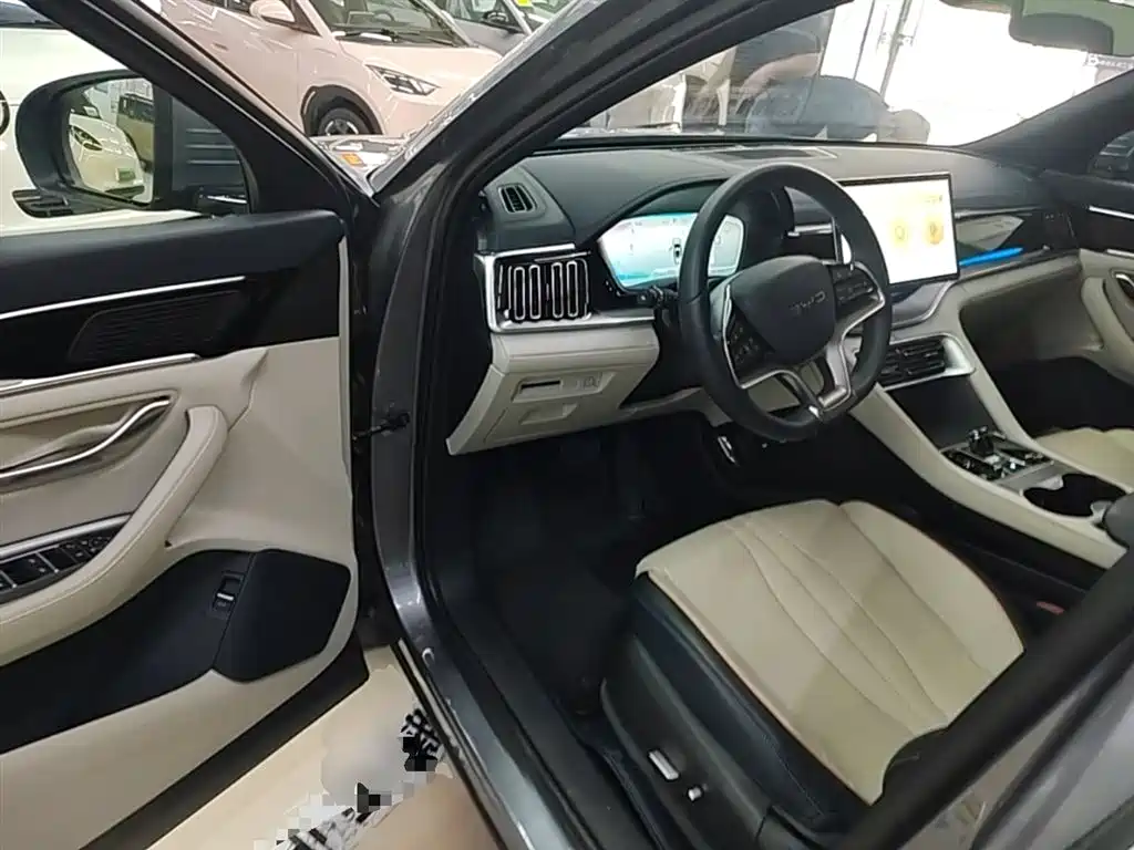 BYD PLUS New Energy 2024 — фото 16