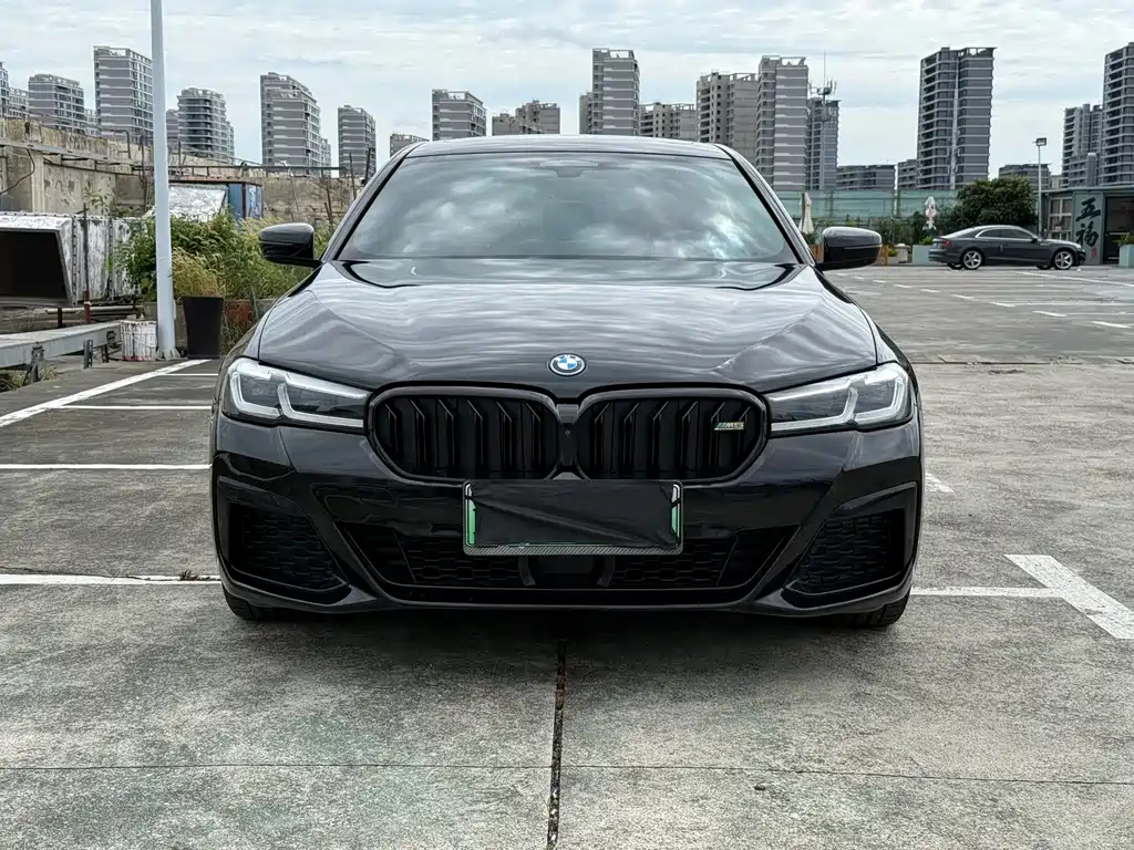 BMW 5 Series New Energy 2022