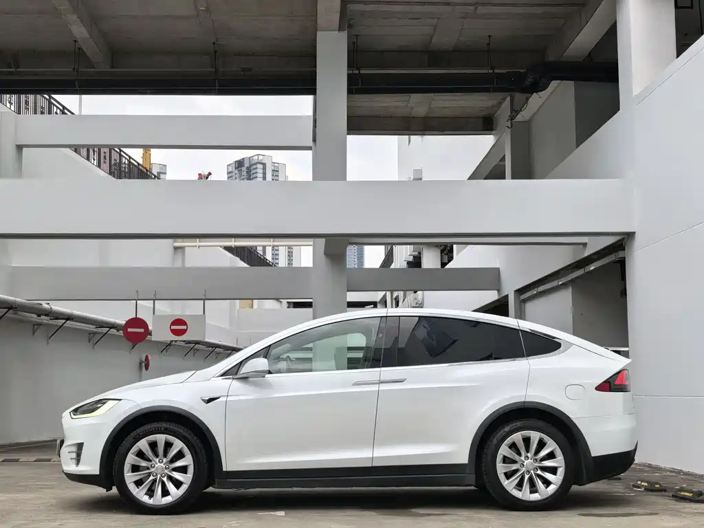 Tesla Model X 2019 — фото 4