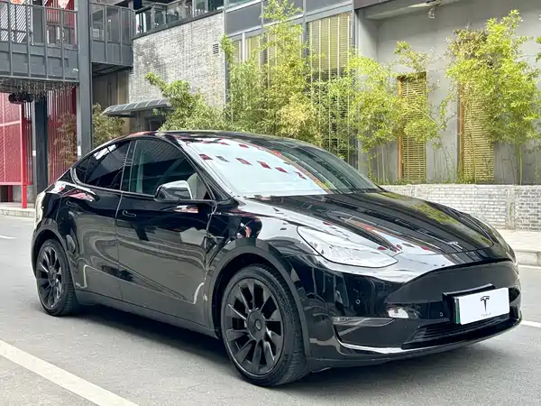 Tesla Model Y 2021