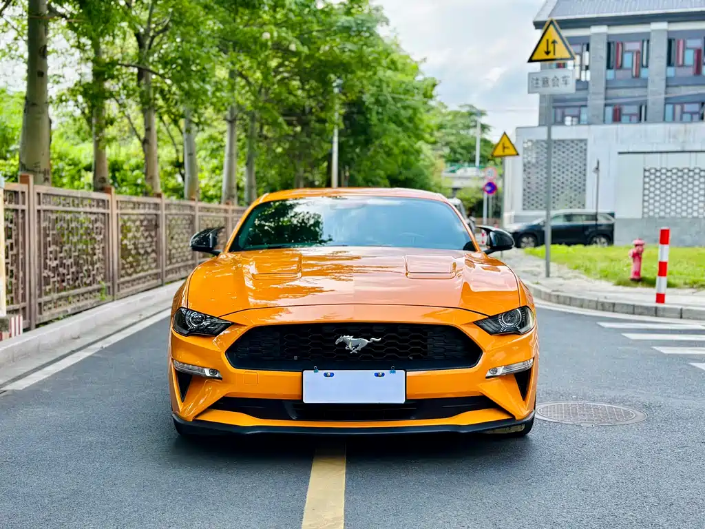 Ford Mustang 2019 — фото 2