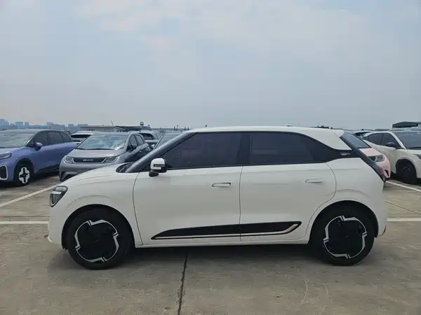 Dongfeng Nano 01 2025