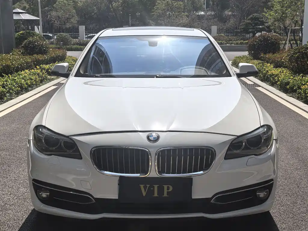 BMW 5 Series 2017 — фото 1