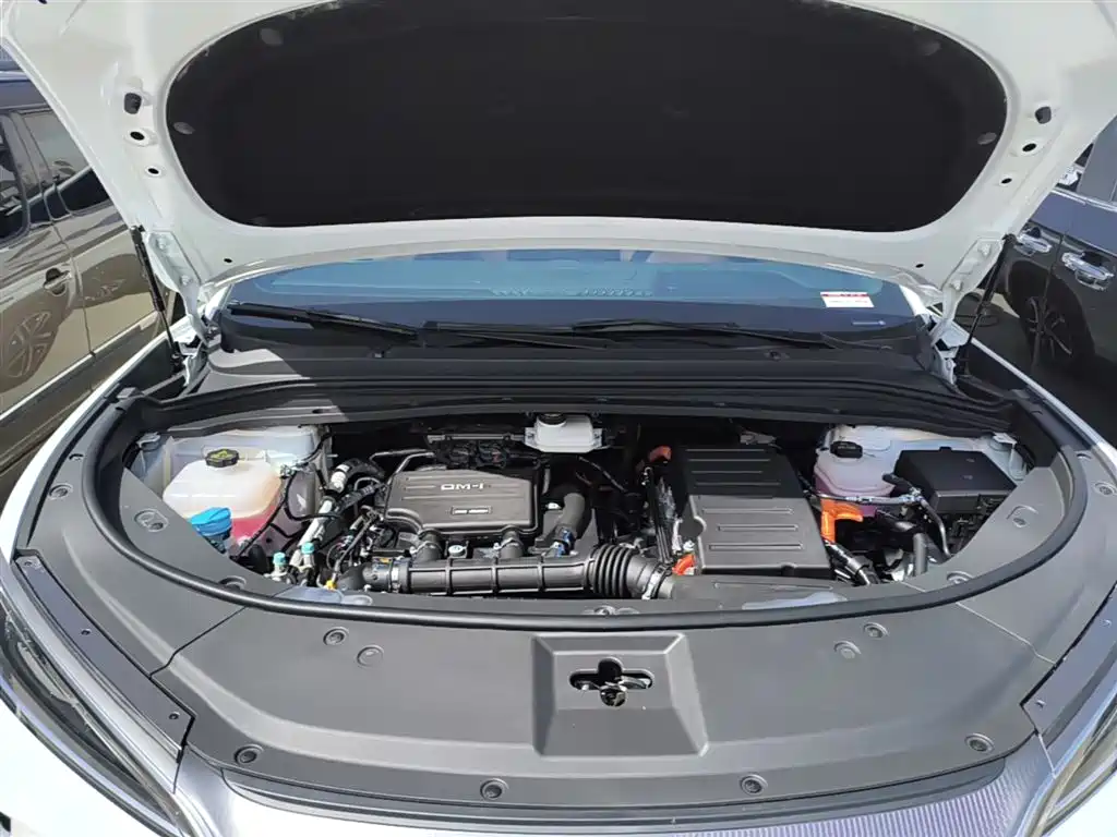 BYD L DM-i 2024 — фото 20