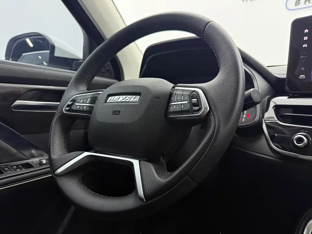 Haval H6 2022 — фото 16