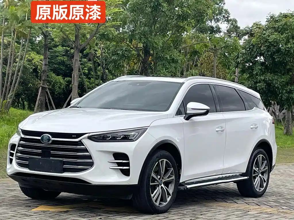 BYD Tang New Energy 2019 — фото 1