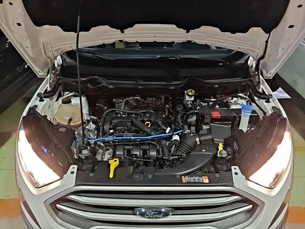 Ford EcoSport 2018 — фото 20