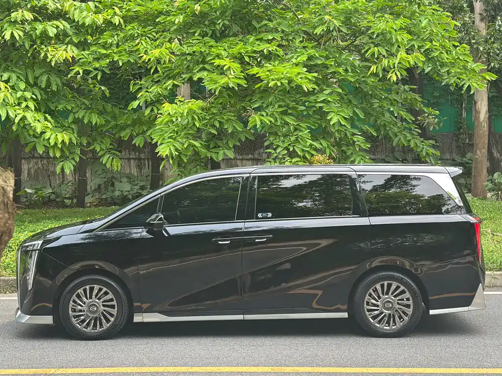 GAC Motor Trumpchi M8 2023 — фото 16