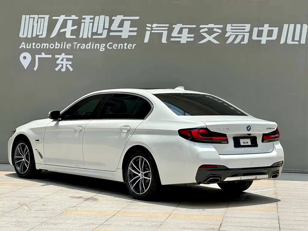 BMW 5 Series New Energy 2022