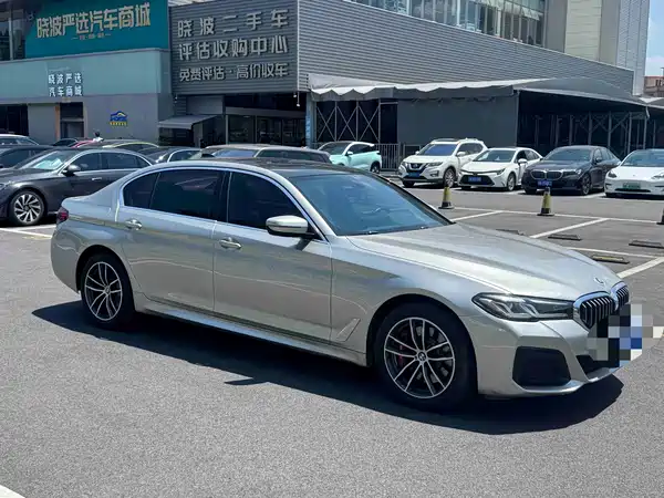 BMW 5 Series 2021
