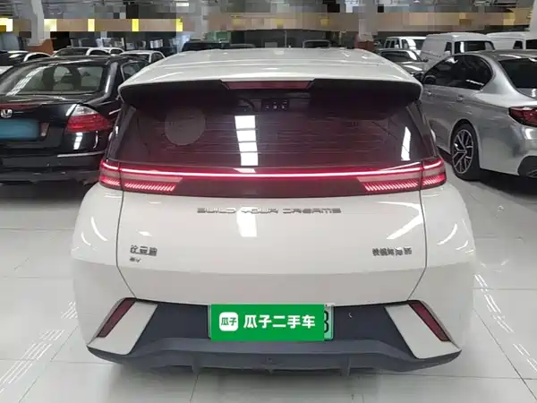 BYD Seagull 2024