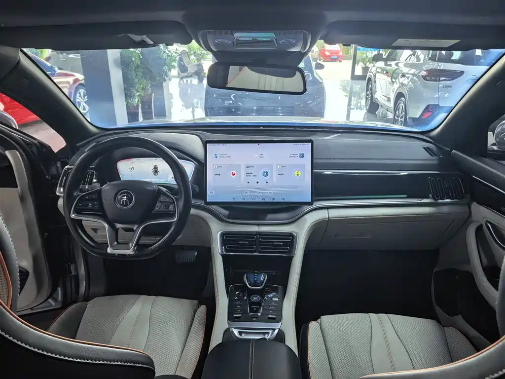 BYD PLUS New Energy 2023 — фото 10