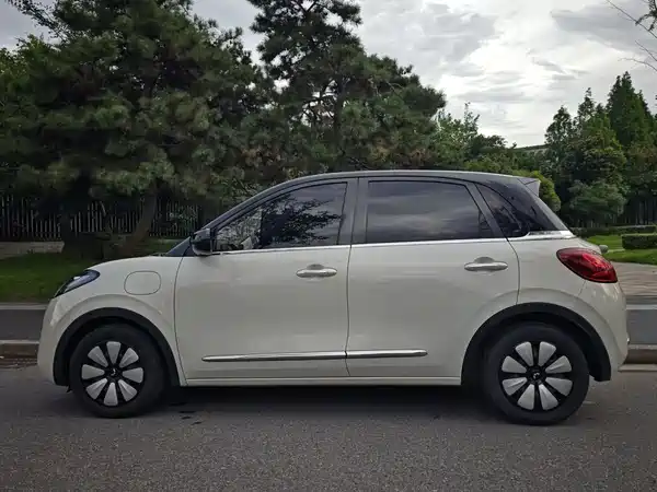 Wuling Bingo 2024
