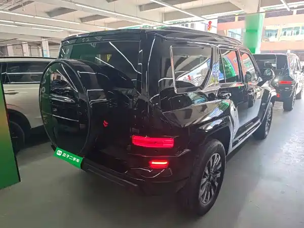 Tank 700 New Energy 2025