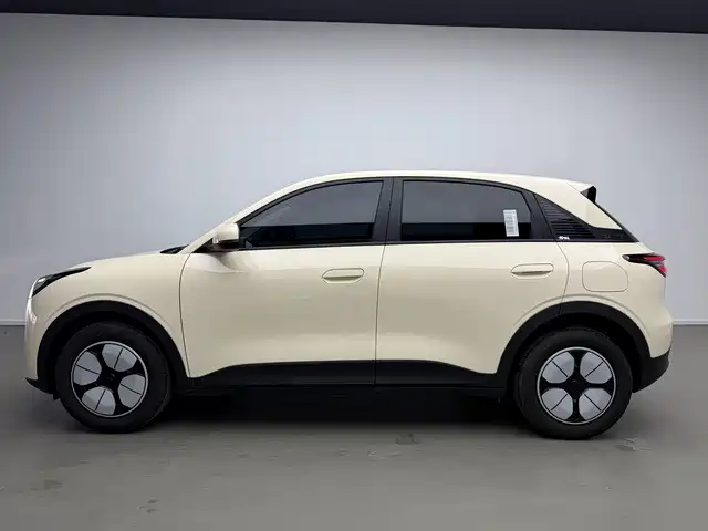 Geely Galaxy Starwish 2025 — фото 15