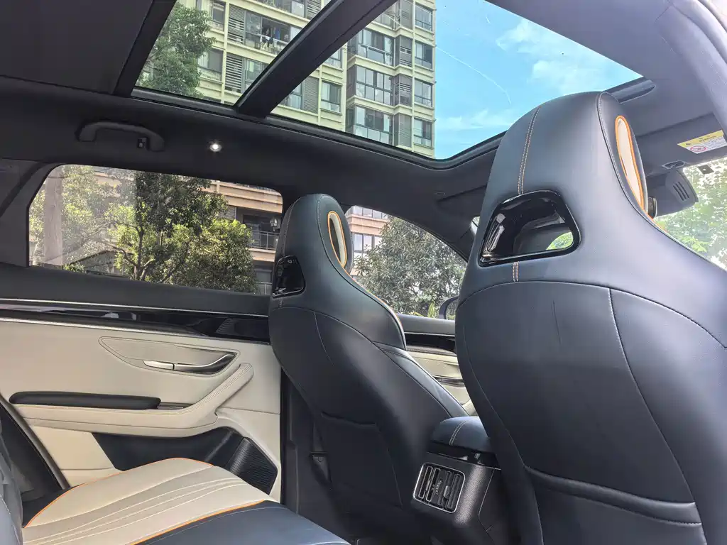 BYD Song PLUS New Energy 2024 — фото 11