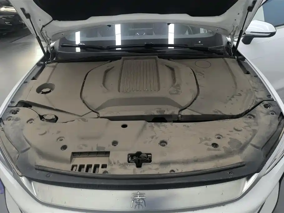BYD Qin PLUS 2023 — фото 10
