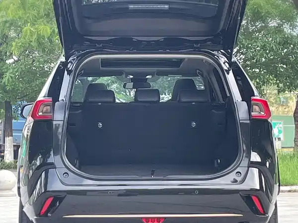 Toyota Wildlander 2024