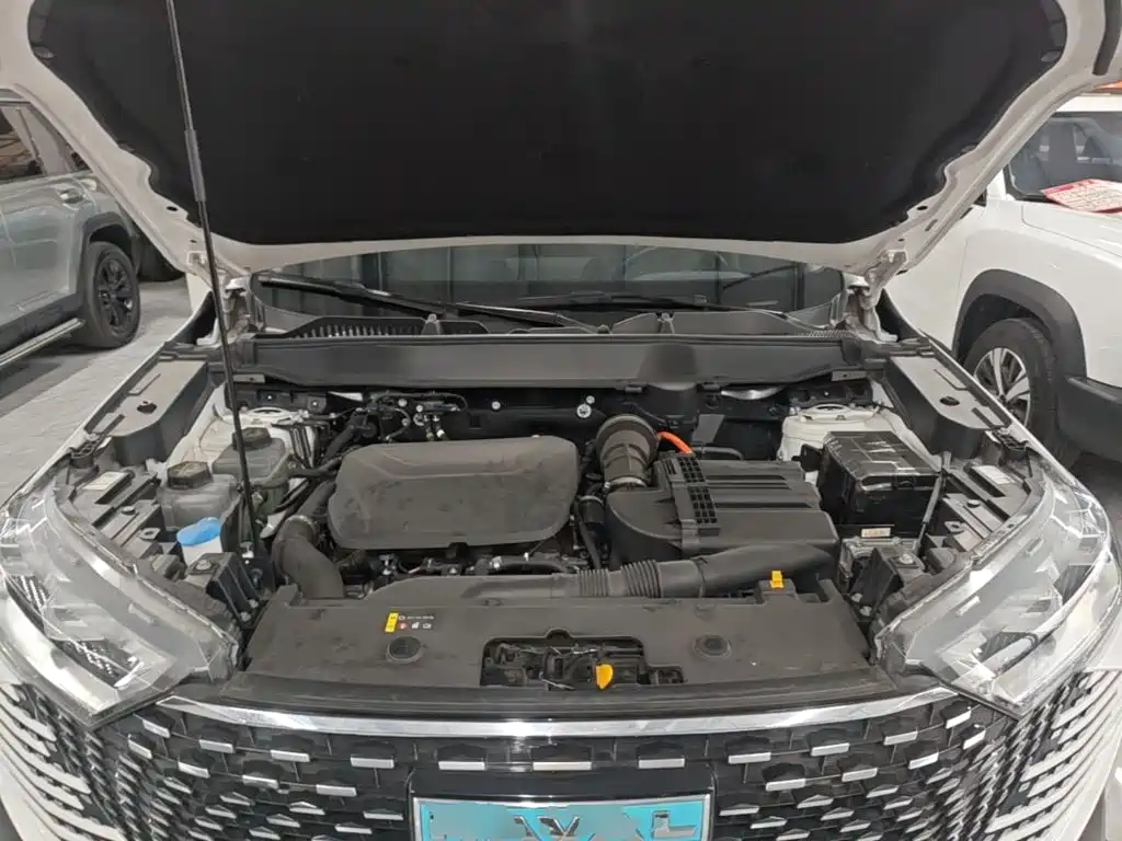 Haval H6 New Energy 2023 — фото 20