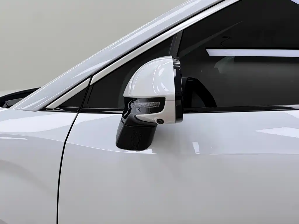 BYD Song L DM-i 2025 — фото 10