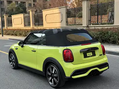 MINI MINI 2024