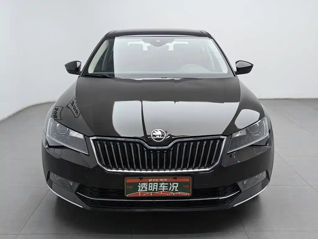 Skoda Speedy 2017