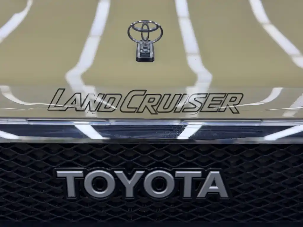 Toyota Land Cruiser 2019 — фото 18